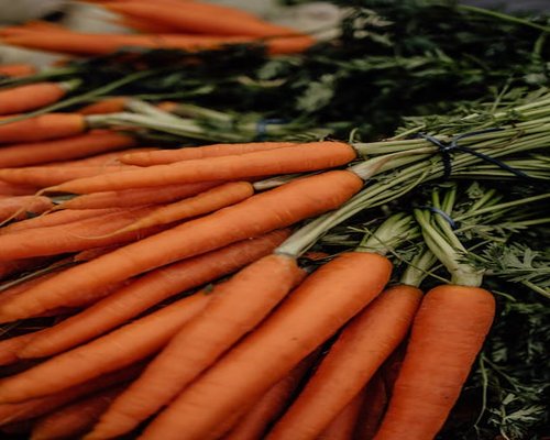Fresh orange carrots bundled together on a rustic surface